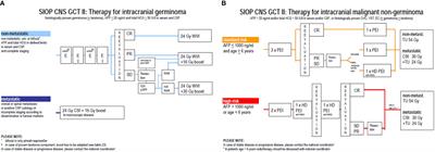 Acute toxicity of chemotherapy in central nervous system germ cell tumour patients according to age